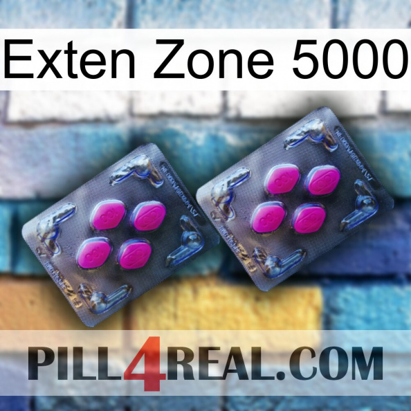 Exten Zone 5000 01.jpg